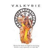 Valkyrie - design
