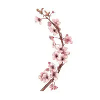 Cherry blossoms - design