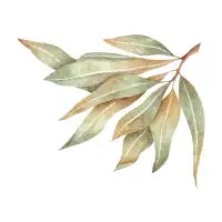 Green leaves - design