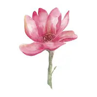 Pink flower - design