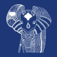 Elephant - design