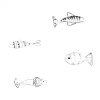fishes - design