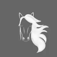 Horse - design