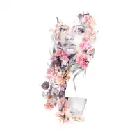 Springness - design