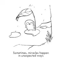 Miracles - design