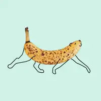 Banana Leopard - design