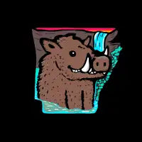 ARKANSAS - design