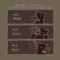 Bear Self Defense - design