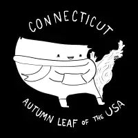 Connecticut White Text - design