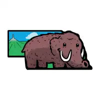 NEBRASKA - design