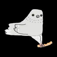 New York Pigeon With Pizza Crust - design