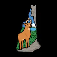 NEWHAMPSHIRE - design