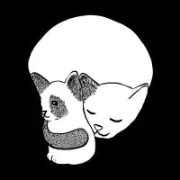 Small Kitten Under Love Lock - design
