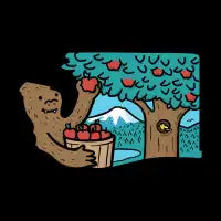 Washington Apples - design