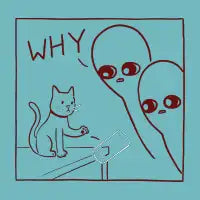 WHY - design