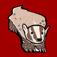 Wisconsin Icon - design