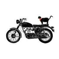 Purrfect Roadtrip... - design