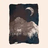 Winter Finds the Bear... - design