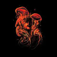 A Beautiful Delusion - design