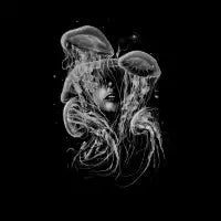 A Beautiful Delusion - design