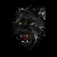 Black Panther - design