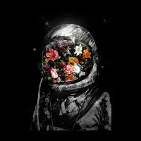 Bloom II - design