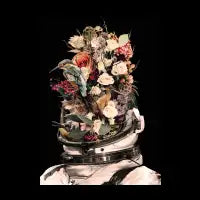 Bloom - design