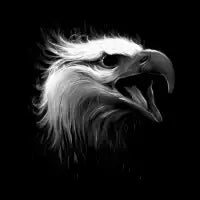 Eagle Eye - design