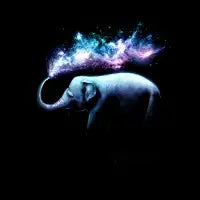 Elephant Splash - design