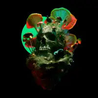 Enchanted Death - design