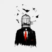 Free Birds - design
