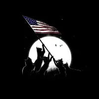 Freedom Cats American Flag - design