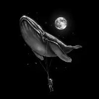 Hitching A Ride - design