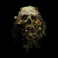 Mycophile - design