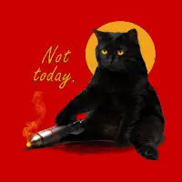 Not Today - design