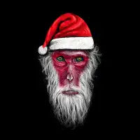 Santa Monkey - design