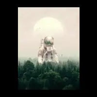 The Guest - design