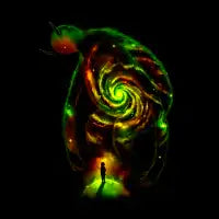The Revelator - design
