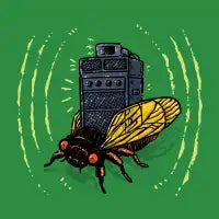 Cicada Soundsystem - design