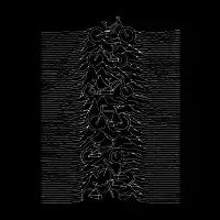 Bike division - design