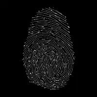 Fingerprintree - design