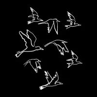 The Birds - design