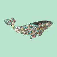 Whale 52hz - design