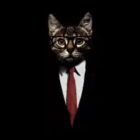 The Cat Jacket - design