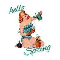 Hello Spring - design