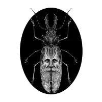 Sabeardtooth Beetle - design