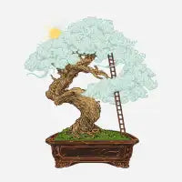 The Smallest Dream - design