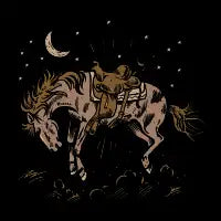 Bucking Bronco - design