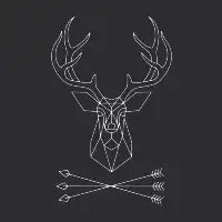 Geometric Deersy - design