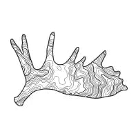 Mooseland - design